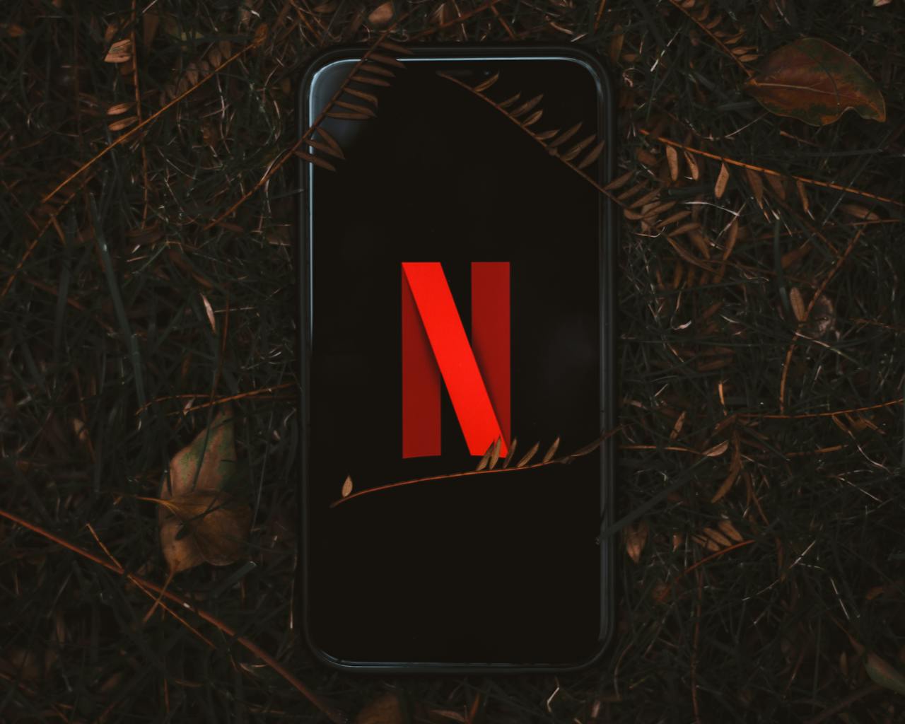 netflix 